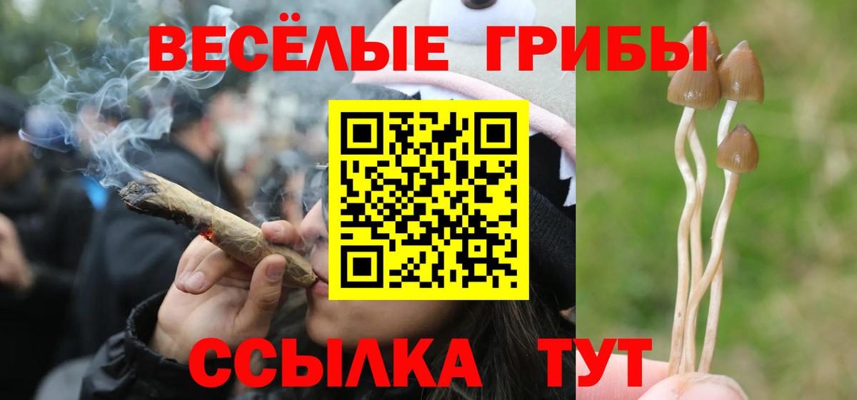 Галлюциногенные грибы прущие грибы Электросталь