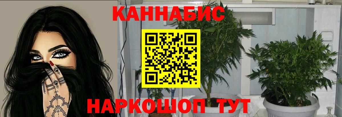 Канабис Ganja Электросталь